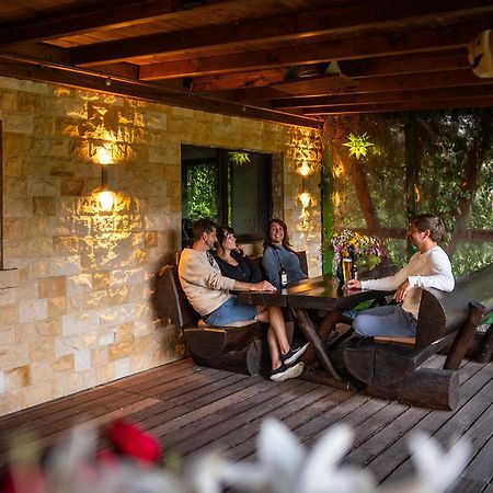 Komfort-Ferienwohnung "Zur Schmiedebruecke" Großschönau Dış mekan fotoğraf